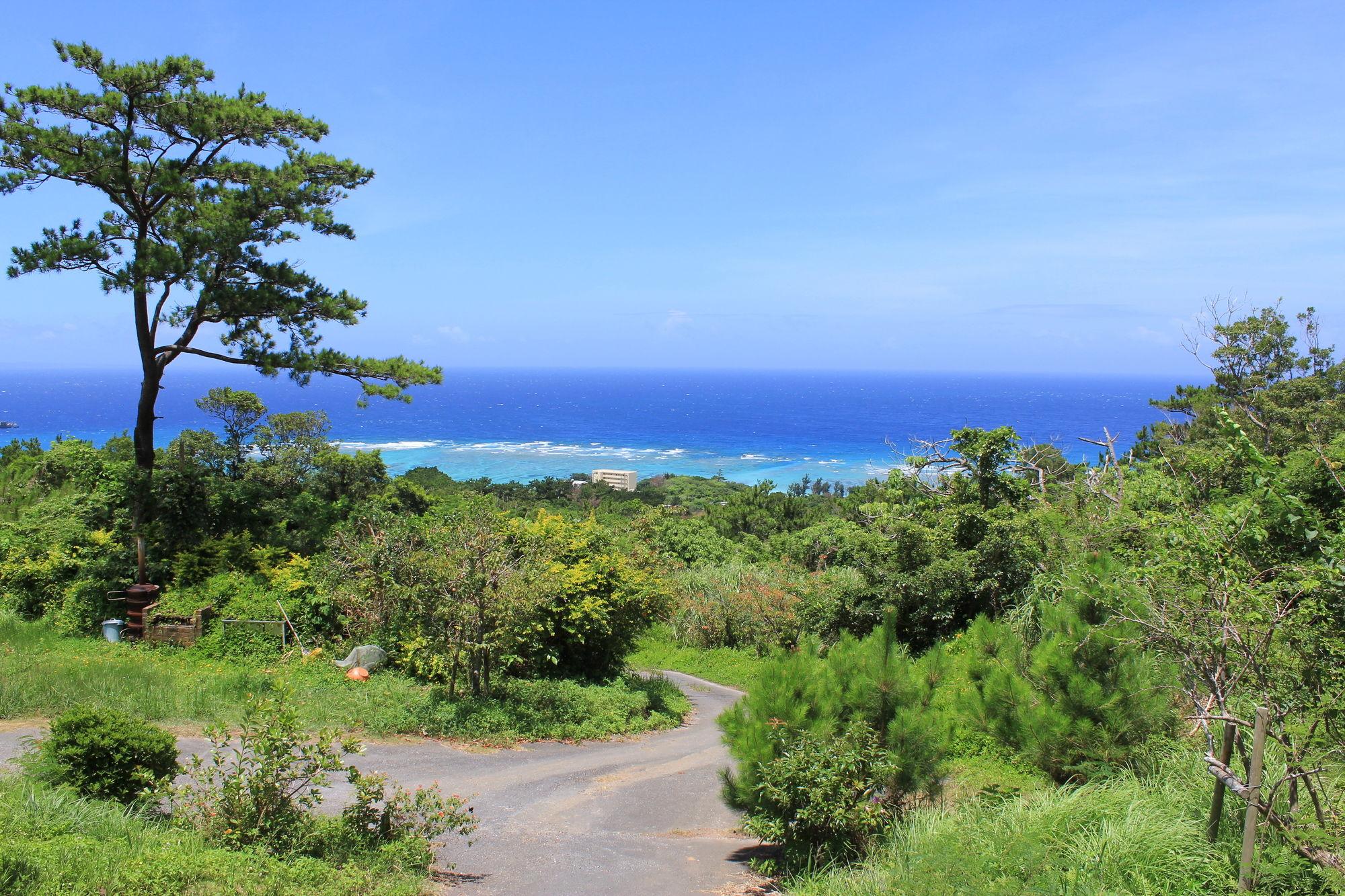 מוטובו Panorama Ocean View Cottage מראה חיצוני תמונה