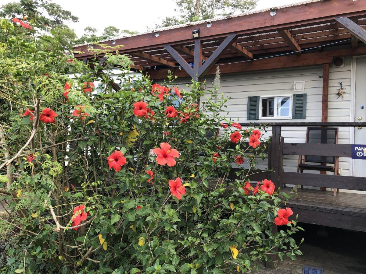 מוטובו Panorama Ocean View Cottage מראה חיצוני תמונה